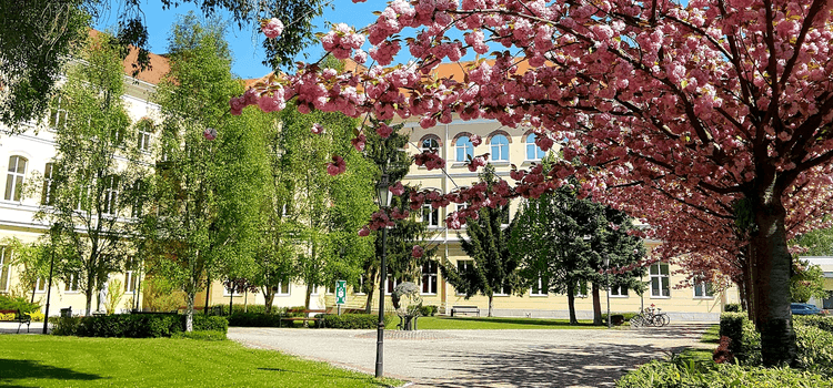 Könyvelő állás Debrecen belvárosában a Lion Office Centerben